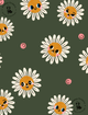 Paninho-de-Boca-Happy-Daisy-Verde