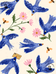 Conjunto-Body-e-Tapa-Fralda-The-Mini-Forest-Andorinha-Azul-Baunilha-com-estampa-infantil-de-passaros-voando.
